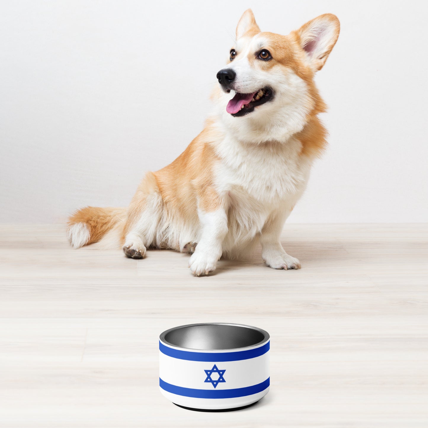 ♥ Israel - Pet Bowl