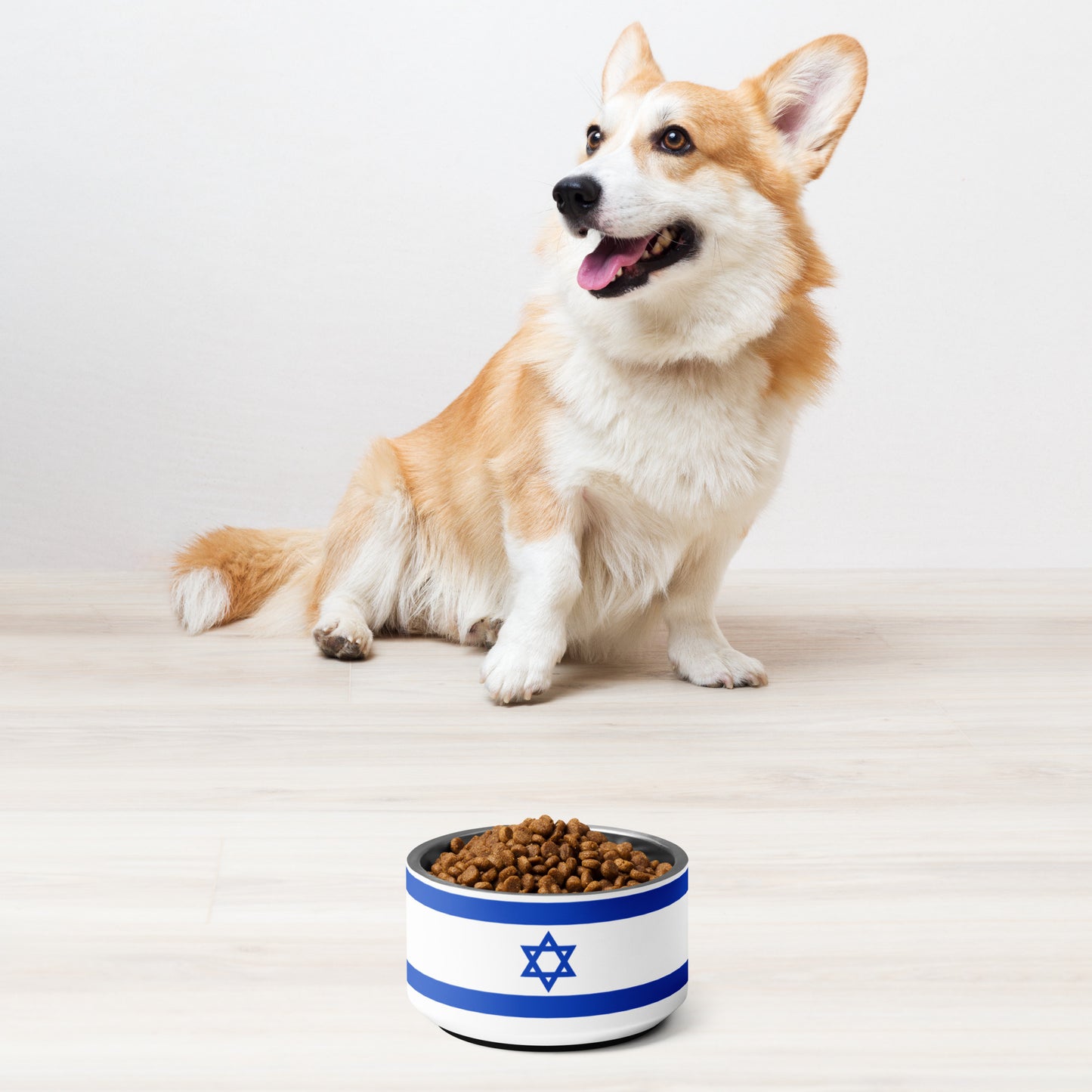 ♥ Israel - Pet Bowl