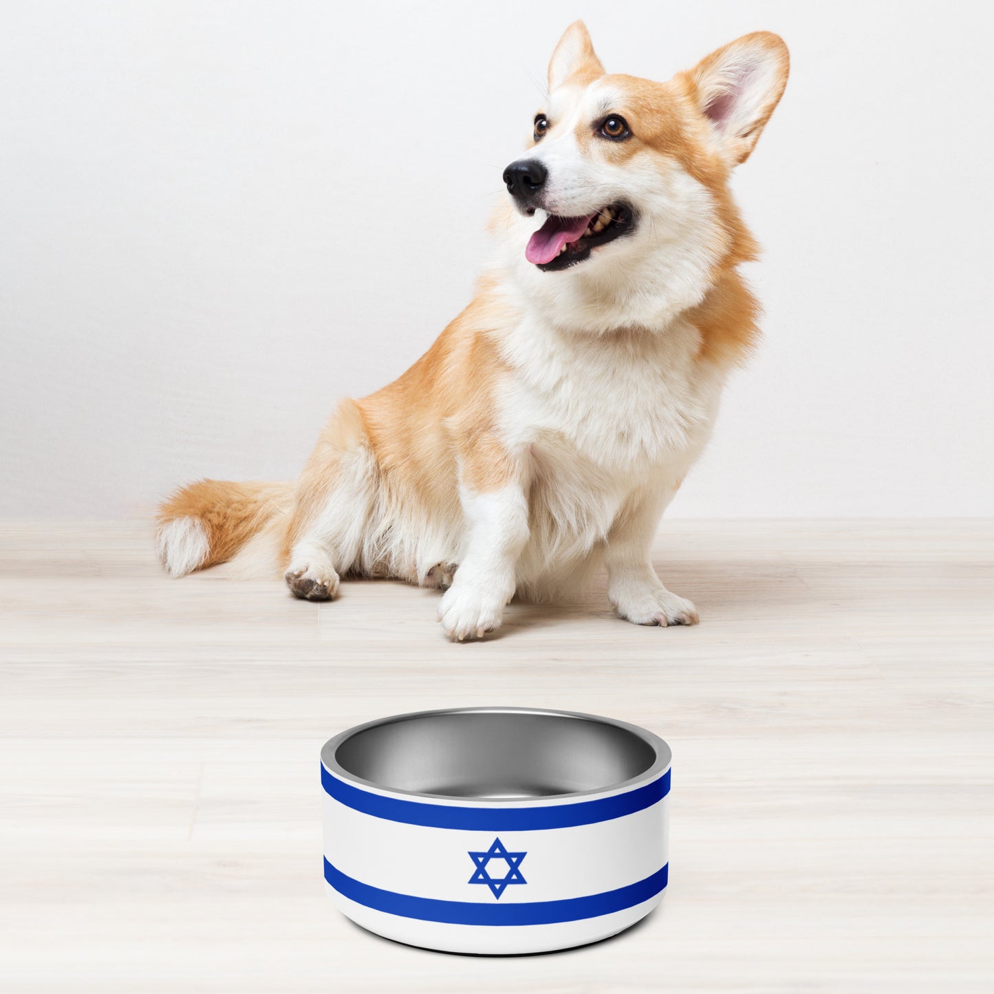 ♥ Israel - Pet Bowl