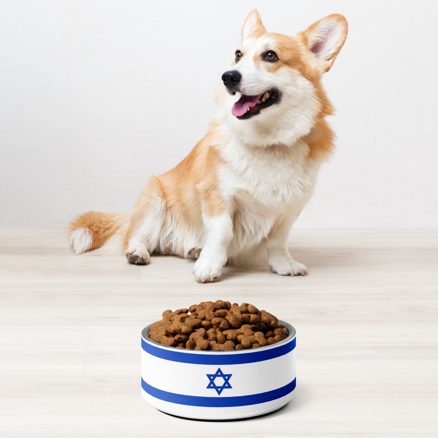 ♥ Israel - Pet Bowl