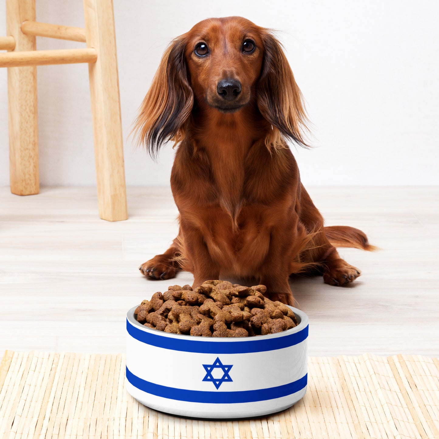 ♥ Israel - Pet Bowl