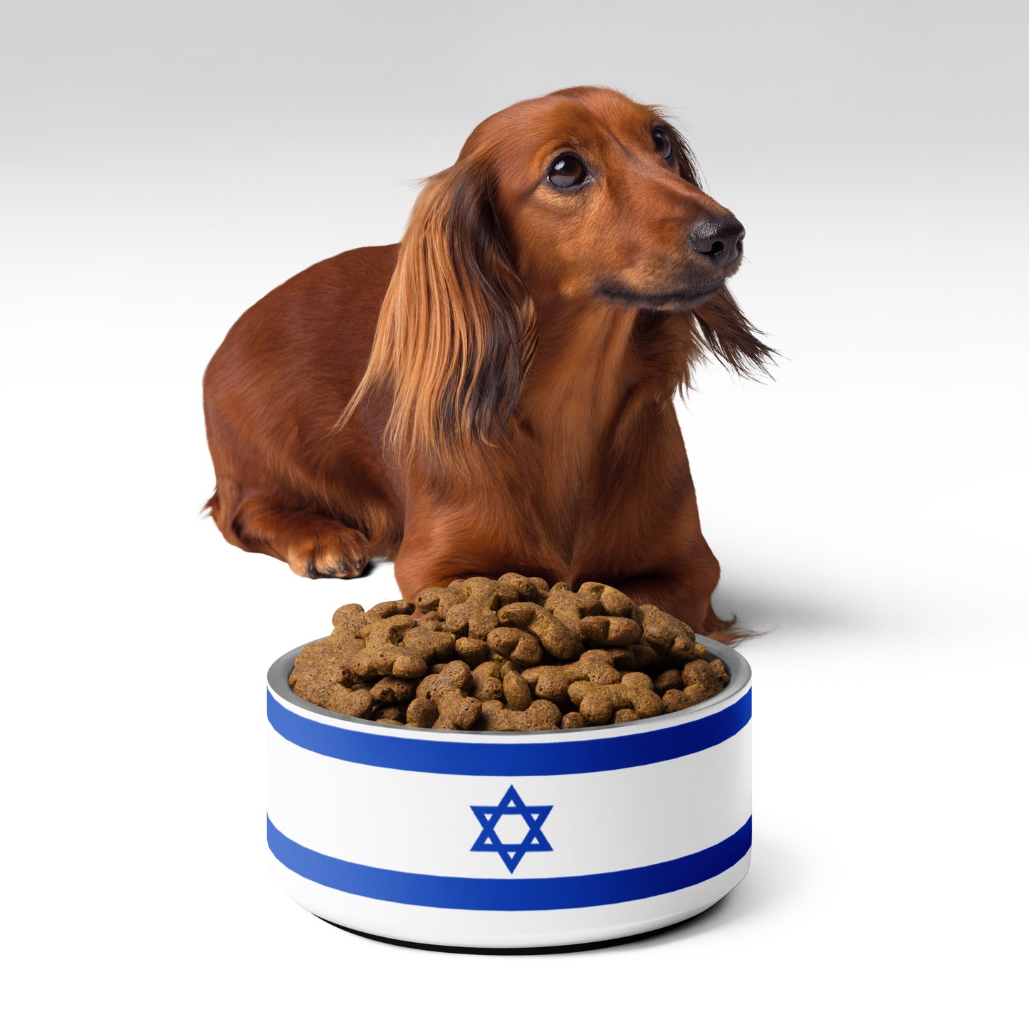 ♥ Israel - Pet Bowl